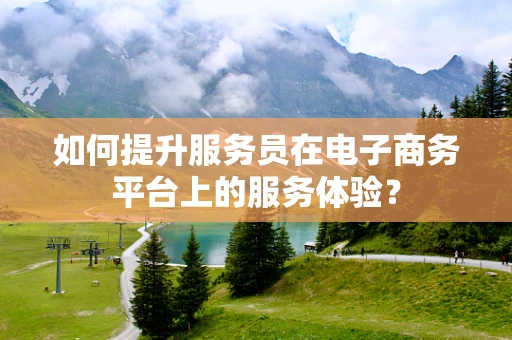 如何提升服务员在电子商务平台上的服务体验？