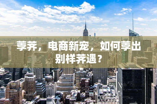 荸荠，电商新宠，如何荸出别样荠遇？