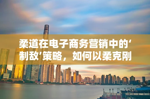 柔道在电子商务营销中的‘制敌’策略，如何以柔克刚，赢得顾客心？