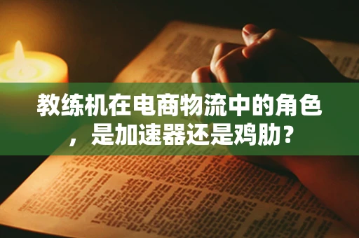 教练机在电商物流中的角色，是加速器还是鸡肋？