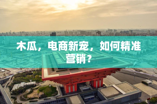 木瓜，电商新宠，如何精准营销？