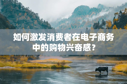 如何激发消费者在电子商务中的购物兴奋感？