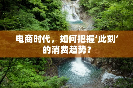 电商时代，如何把握‘此刻’的消费趋势？