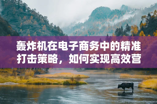 轰炸机在电子商务中的精准打击策略，如何实现高效营销？