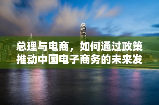 总理与电商，如何通过政策推动中国电子商务的未来发展？