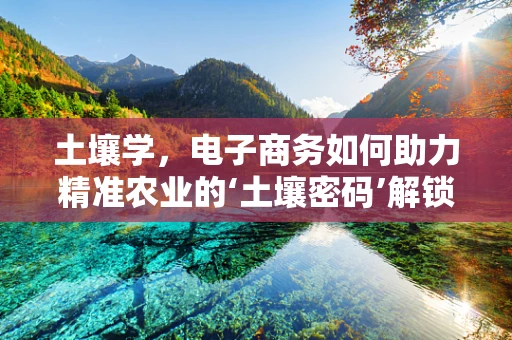 土壤学，电子商务如何助力精准农业的‘土壤密码’解锁？