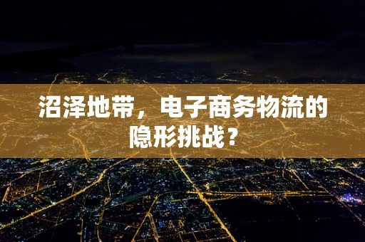 沼泽地带，电子商务物流的隐形挑战？