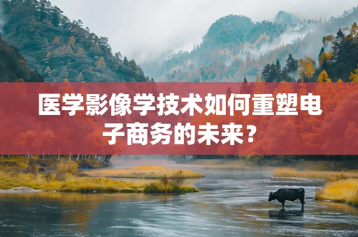 医学影像学技术如何重塑电子商务的未来？