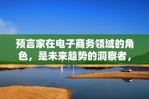 预言家在电子商务领域的角色，是未来趋势的洞察者，还是市场泡沫的制造者？
