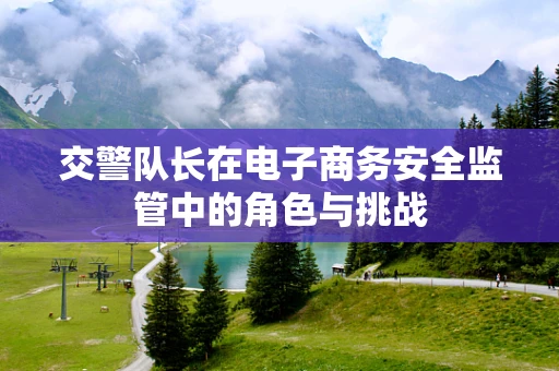 交警队长在电子商务安全监管中的角色与挑战