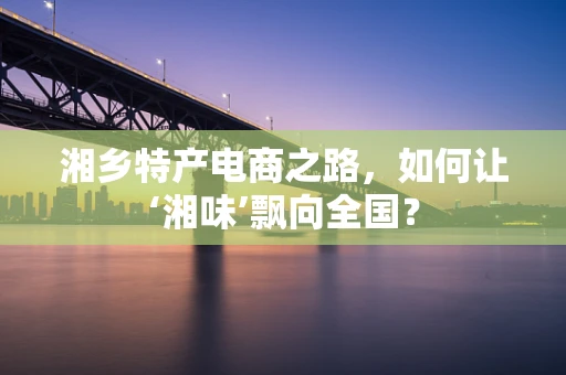 湘乡特产电商之路，如何让‘湘味’飘向全国？