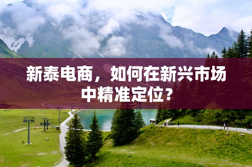 新泰电商，如何在新兴市场中精准定位？