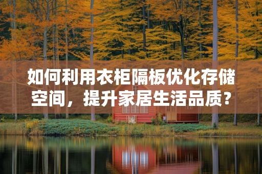 如何利用衣柜隔板优化存储空间，提升家居生活品质？
