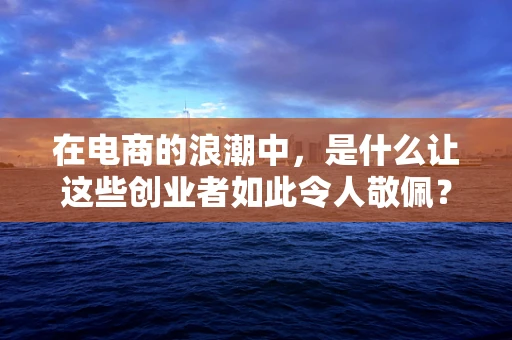 在电商的浪潮中，是什么让这些创业者如此令人敬佩？
