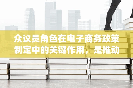 众议员角色在电子商务政策制定中的关键作用，是推动创新还是保守传统？