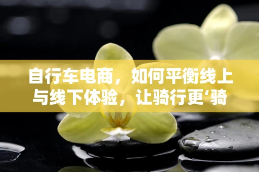 自行车电商，如何平衡线上与线下体验，让骑行更‘骑’乐无穷？