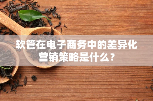 软管在电子商务中的差异化营销策略是什么？