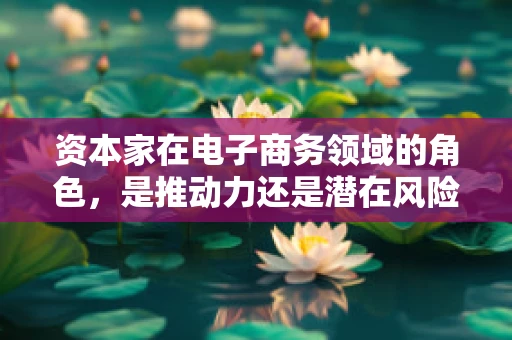 资本家在电子商务领域的角色，是推动力还是潜在风险？