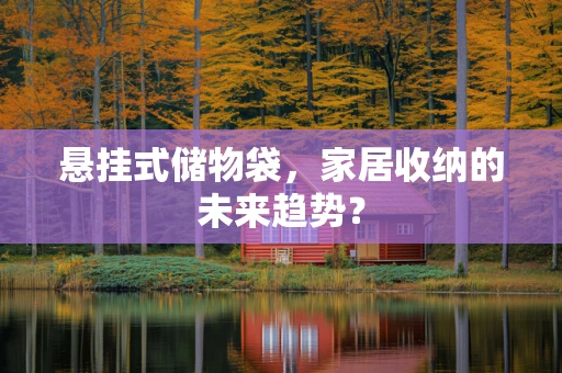 悬挂式储物袋，家居收纳的未来趋势？