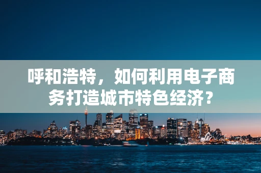 呼和浩特，如何利用电子商务打造城市特色经济？