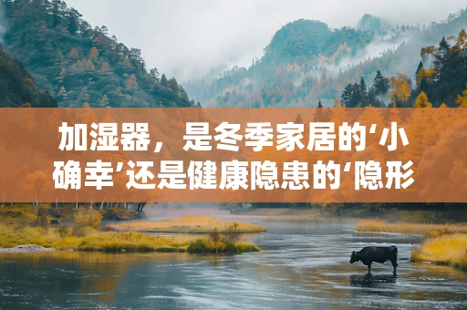 加湿器，是冬季家居的‘小确幸’还是健康隐患的‘隐形杀手’？