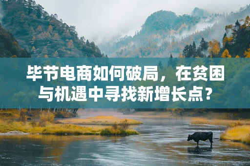 毕节电商如何破局，在贫困与机遇中寻找新增长点？