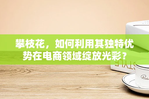 攀枝花，如何利用其独特优势在电商领域绽放光彩？