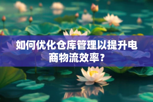 如何优化仓库管理以提升电商物流效率？