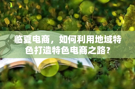 临夏电商，如何利用地域特色打造特色电商之路？