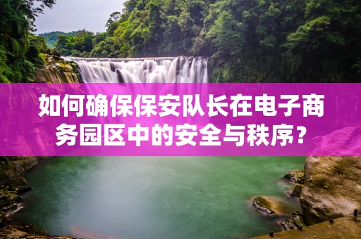 如何确保保安队长在电子商务园区中的安全与秩序？