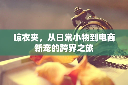 晾衣夹，从日常小物到电商新宠的跨界之旅