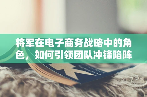 将军在电子商务战略中的角色，如何引领团队冲锋陷阵？