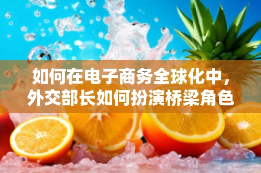 如何在电子商务全球化中，外交部长如何扮演桥梁角色？