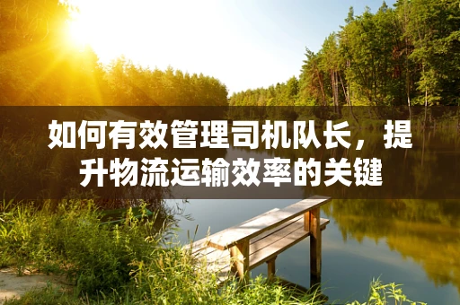 如何有效管理司机队长，提升物流运输效率的关键