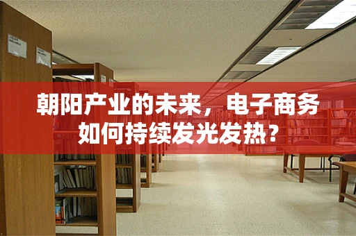 朝阳产业的未来，电子商务如何持续发光发热？