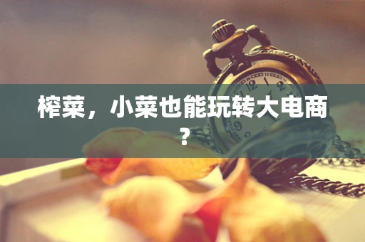 榨菜，小菜也能玩转大电商？