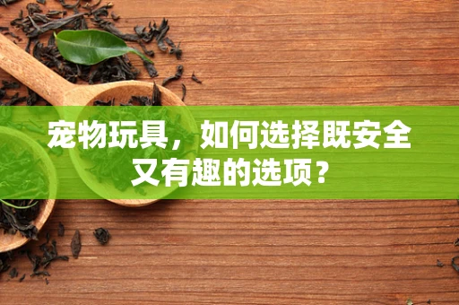 宠物玩具，如何选择既安全又有趣的选项？