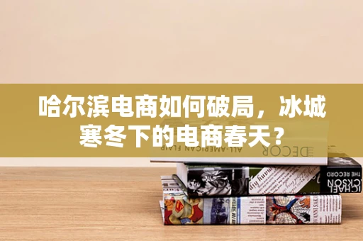 哈尔滨电商如何破局，冰城寒冬下的电商春天？