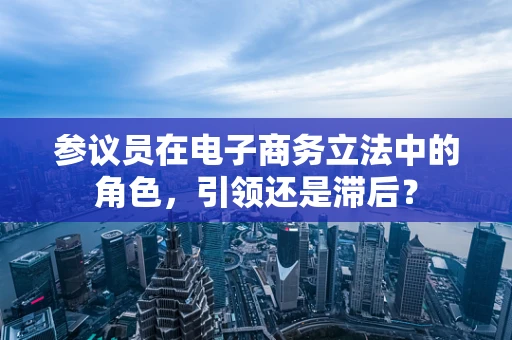 参议员在电子商务立法中的角色，引领还是滞后？