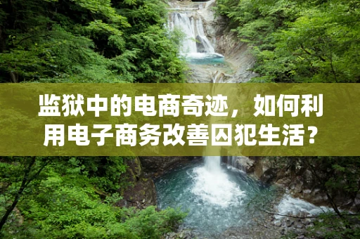 监狱中的电商奇迹，如何利用电子商务改善囚犯生活？