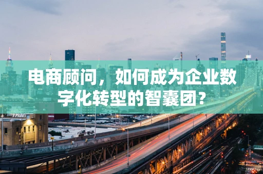 电商顾问，如何成为企业数字化转型的智囊团？