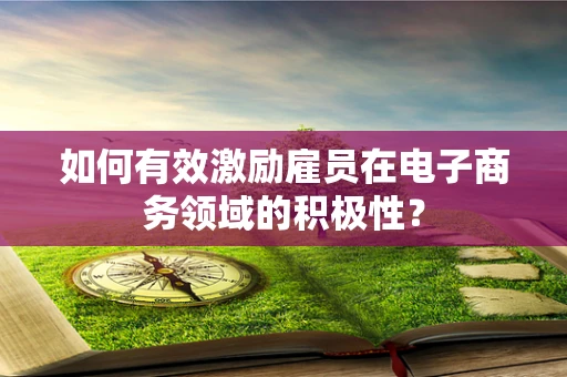 如何有效激励雇员在电子商务领域的积极性？