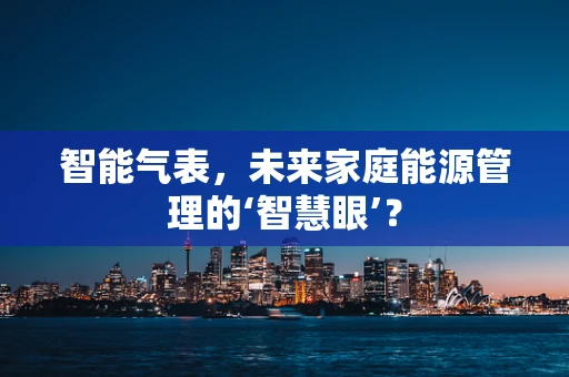 智能气表，未来家庭能源管理的‘智慧眼’？