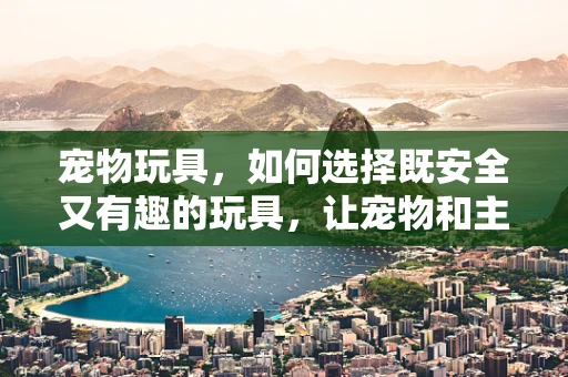宠物玩具，如何选择既安全又有趣的玩具，让宠物和主人共享欢乐时光？