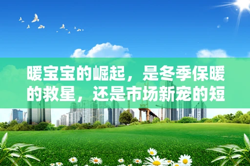 暖宝宝的崛起，是冬季保暖的救星，还是市场新宠的短暂闪耀？