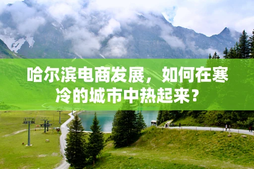 哈尔滨电商发展，如何在寒冷的城市中热起来？