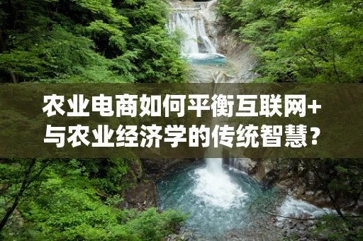 农业电商如何平衡互联网+与农业经济学的传统智慧？
