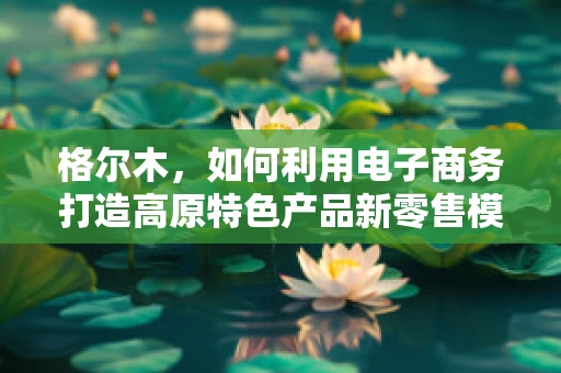 格尔木，如何利用电子商务打造高原特色产品新零售模式？