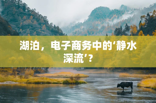 湖泊，电子商务中的‘静水深流’？