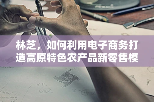 林芝，如何利用电子商务打造高原特色农产品新零售模式？